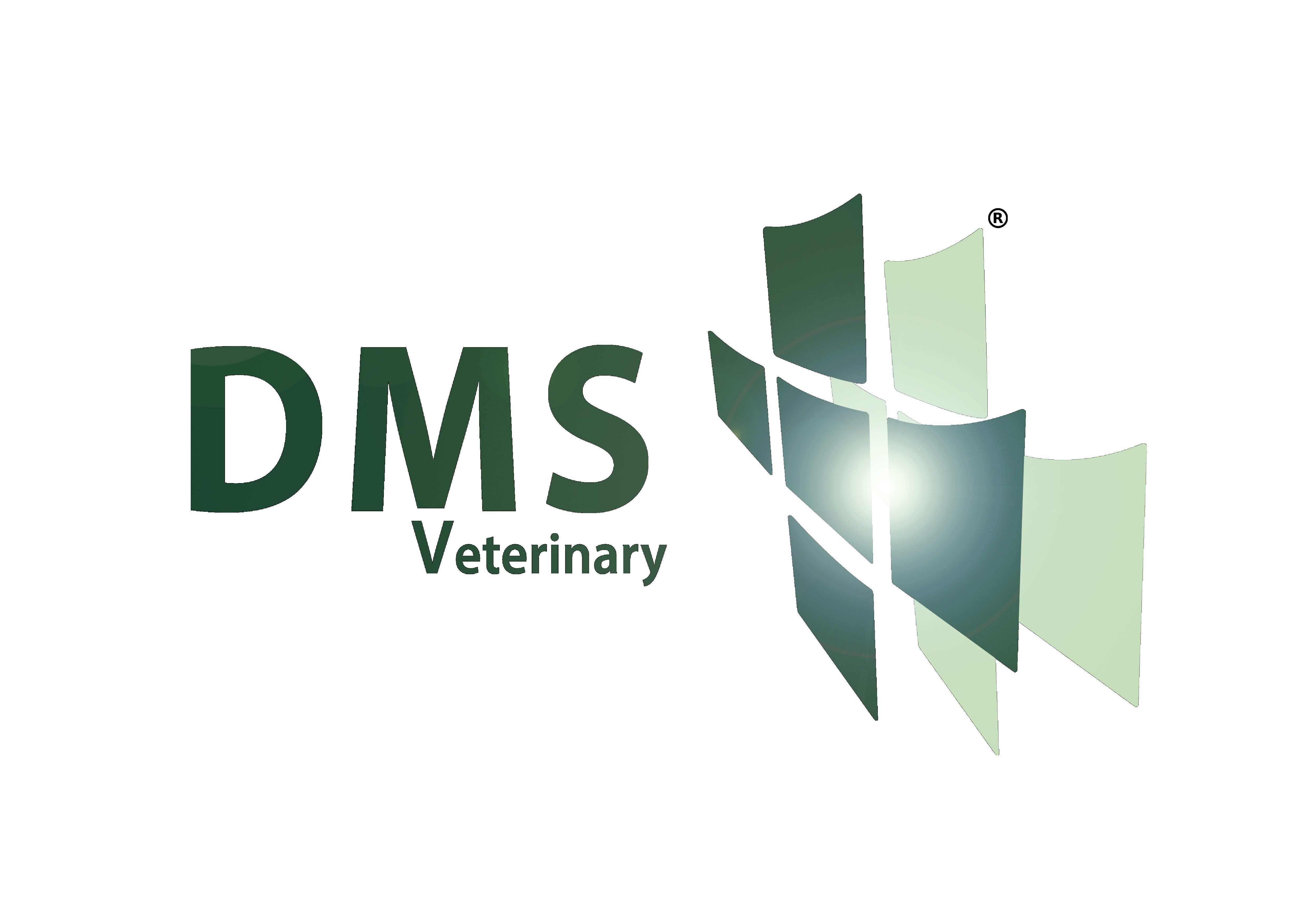 DMS Veterinary